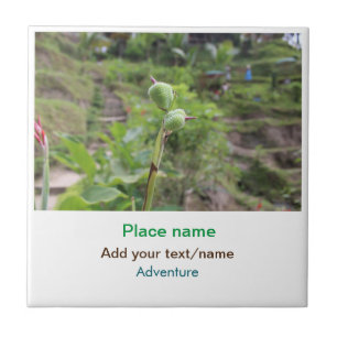 Nature plants photography beach water travel name tile
