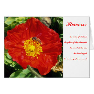 Nature Poetry Poppy