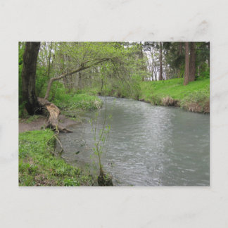 Nature Post Card