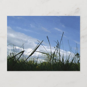 Nature Postcard