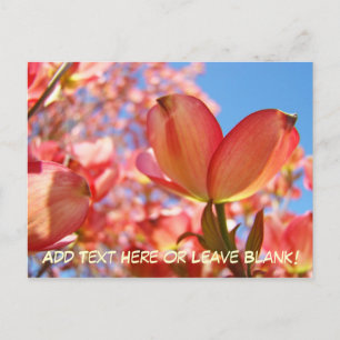 Nature Postcards Custom Dobwood Tree Flowers