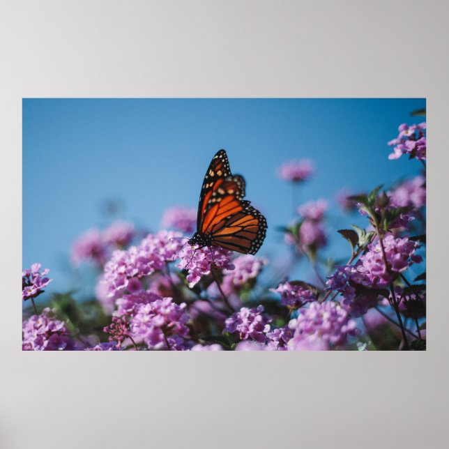 Nature Poster (Front)