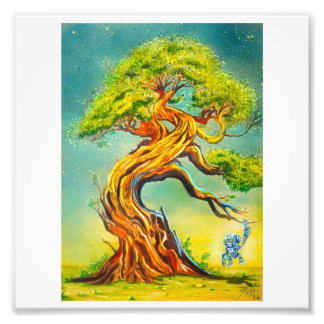 Nature poster