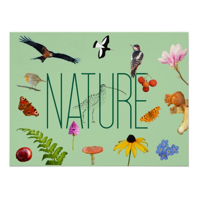 Nature Poster (Front)