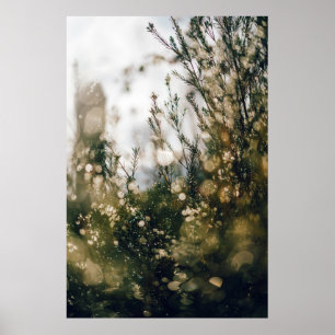 NATURE POSTER