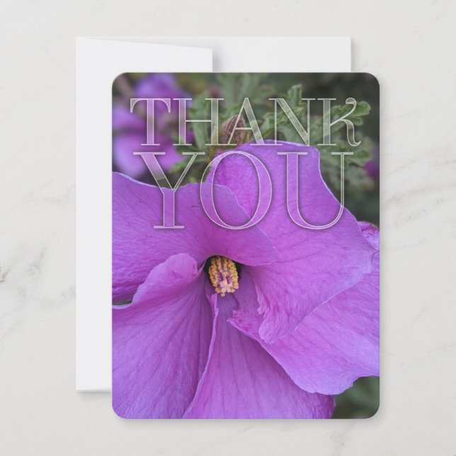 Nature Purple Hibiscus Flower Thank You (Front)