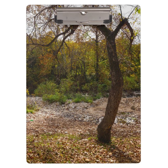 Nature Reaching Out Clipboard (Front)