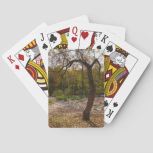 Nature Reaching Out Playing Cards
