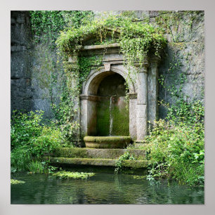 Nature Reclaiming - Overgrown Roman Fountain Poster