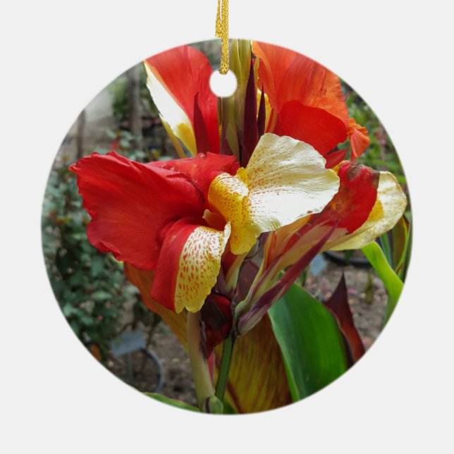 Nature Red Flower Floral Photography Ceramic Tree Decoration (Back)