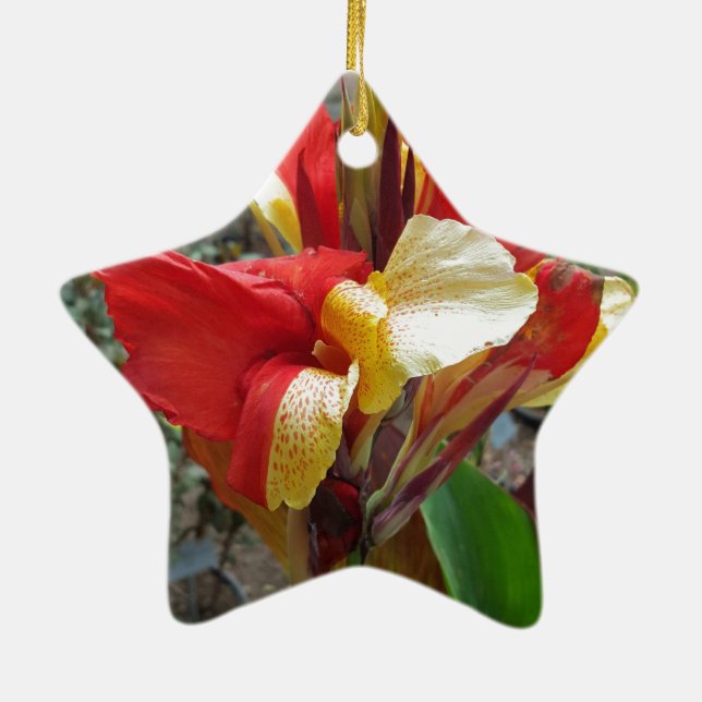 Nature Red Flower Floral Photography Ceramic Tree Decoration (Back)