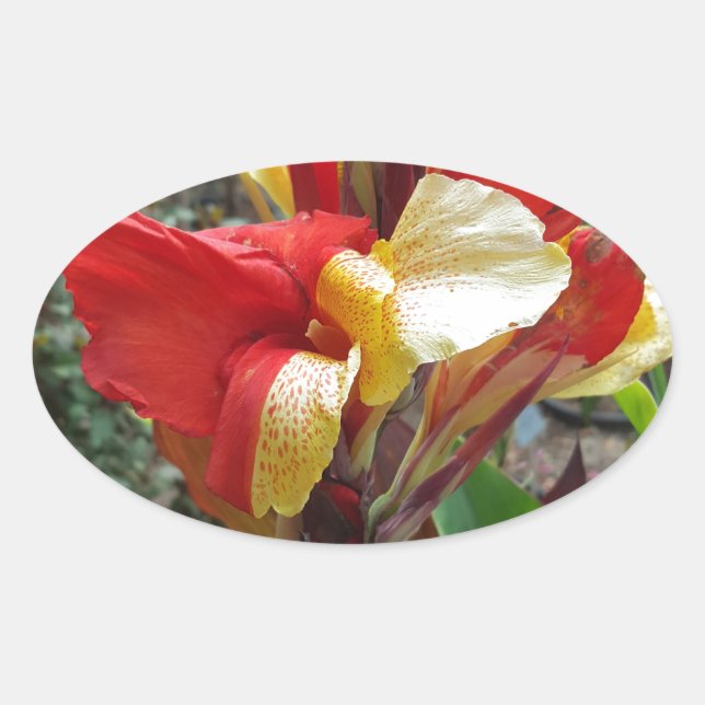 Nature Red Flower Floral Photography Oval Sticker (Front)