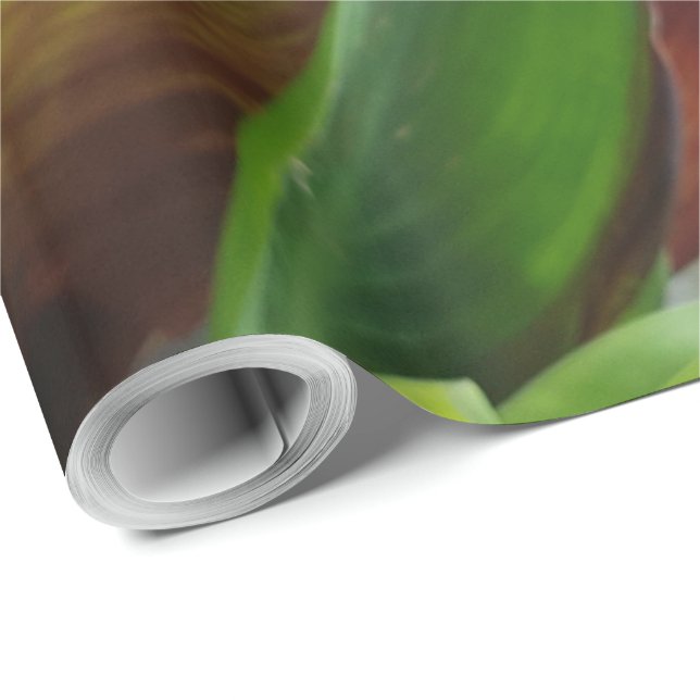 Nature Red Flower Floral Photography Wrapping Paper (Roll Corner)