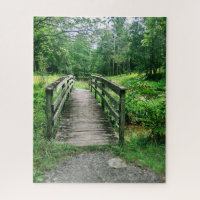  NATURE RESERVE FOOT BRIDGE
