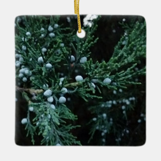 Nature Ripening Juniper Berries Ceramic Ornament