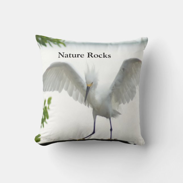 Nature Rocks Egret Cushion (Front)