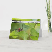 “Nature’s Delicate Balance - Insect on Leaf”