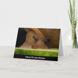Nature’s Gentle Embrace - Snail Close-Up Thank You Card