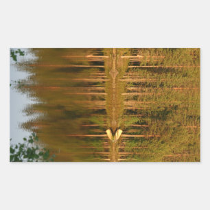 Nature’s Reflections custom stickers