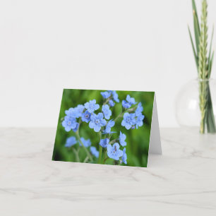Nature’s Touch – Blank Greeting & Thank You Card