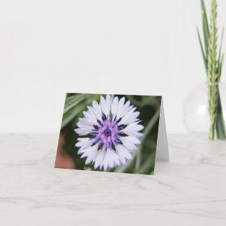 Nature’s Touch – Blank Greeting & Thank You Card