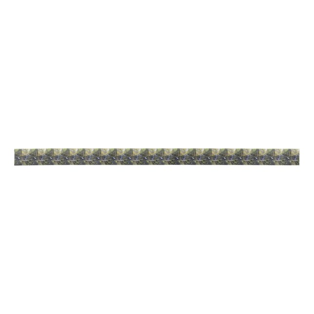 Nature Satin Ribbon (Front)