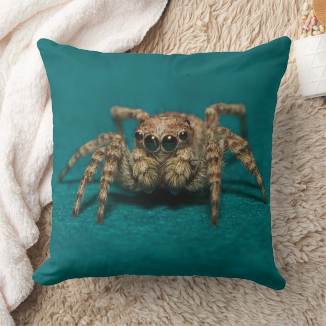 Nature Scary Spider Photo Cushion (Blanket)