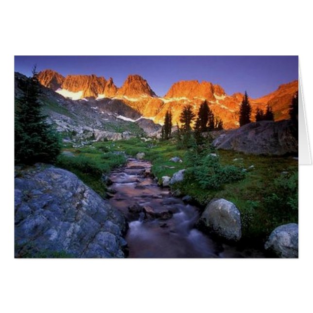 Nature Scene I (Front Horizontal)