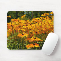 Nature scene, wildflowers, gold yellow flowers,