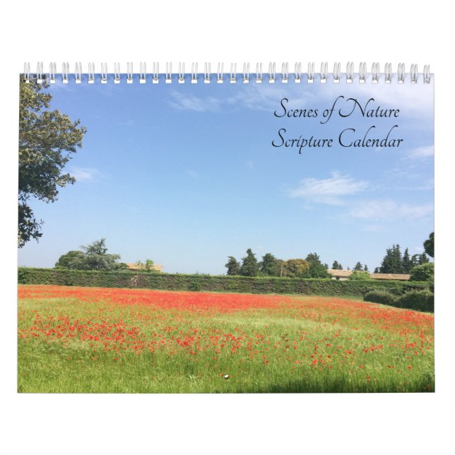 Nature Scenes With Scripture Verses Calendar (Cover)