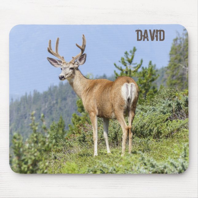 Nature Scenic Elk  Mouse Mat (Front)