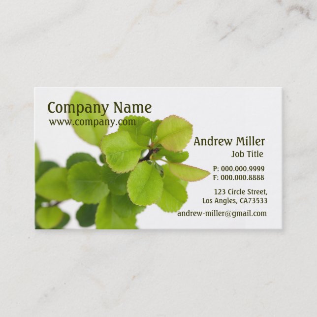 Nature Simplicity l Green Leaves Business Card (Front)