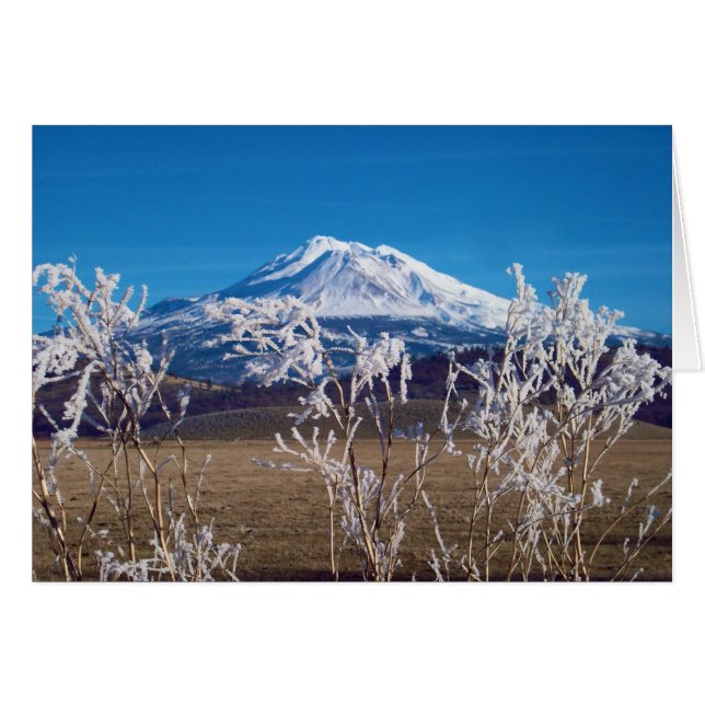 Nature Speaks Book Cover Image (Front Horizontal)