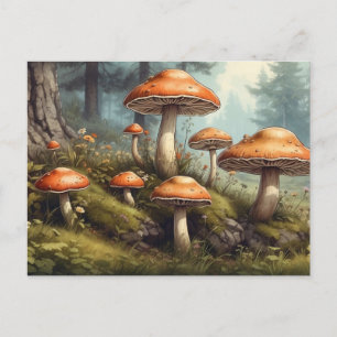 Nature, Summer Forest Illustration with Toadstool Postcard