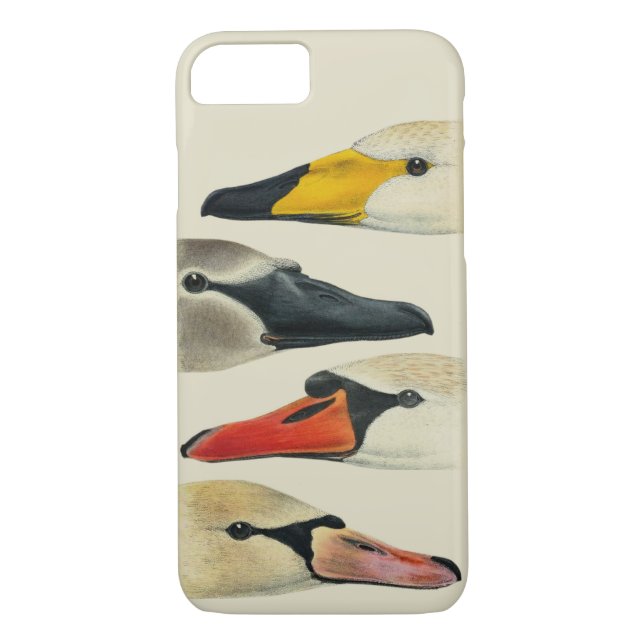 Nature The Many Faces of a Swan Case-Mate iPhone Case (Back)