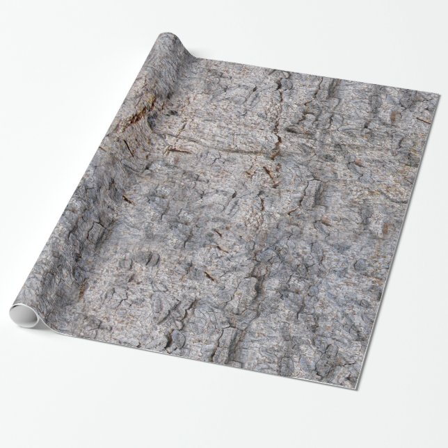 Nature Tree Bark Photo Wrapping Paper (Unrolled)