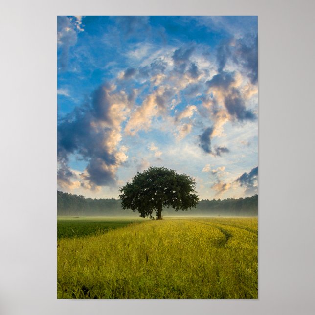 Nature Tree Green Grass Wild Blue Sky Summer Poster (Front)