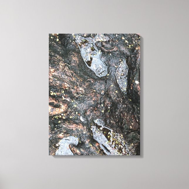 Nature Tree Roots Rainy Day Puddle Photograph Art Canvas Print (Front)