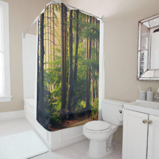 Nature, Trees in the National Park Shower Curtain