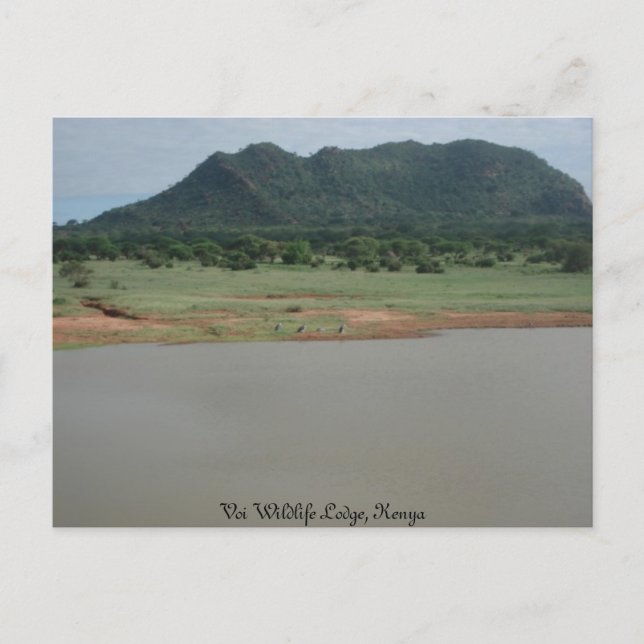 Nature view from Voi wildlife Lodge, Kenya Postcard (Front)