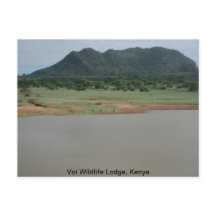 Nature view from Voi wildlife Lodge