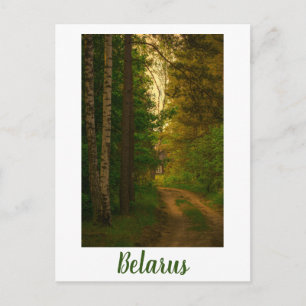 Nature Village Rural Hut Forest Belarus Postcard