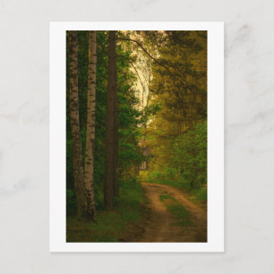 Nature Village Rural Hut Forest Belarus Postcard
