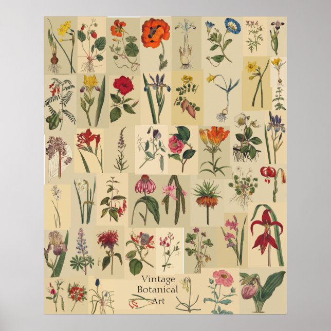 Nature Vintage Botanicals Collage Print (Front)