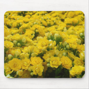 Nature Vivid Yellow Flower Bloom Photo Floral Mouse Mat