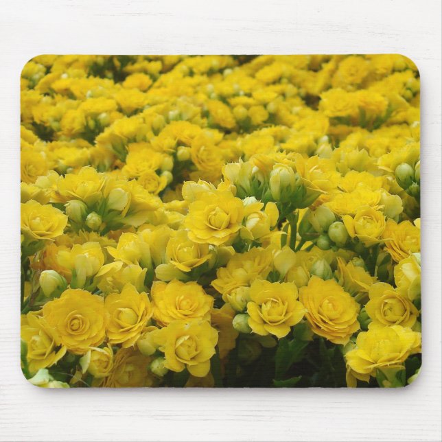 Nature Vivid Yellow Flower Bloom Photo Floral Mouse Mat (Front)