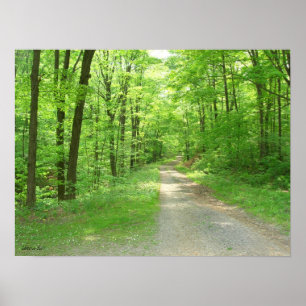 Nature Walk Poster