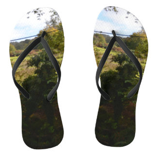 nature way of impersonating animals flip flops