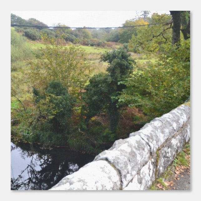 nature way of impersonating animals wallpaper (Front)