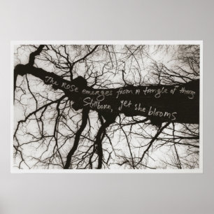 Nature Whispers Poster